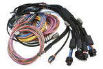 NEXUS R5 + Universal Wire-in Harness Kit - 5M / 16' Length: 5m (16')